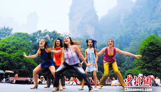 張家界 國家森林公園 旅游總收入