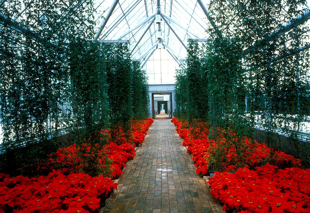 中國風景園林網 規劃設計