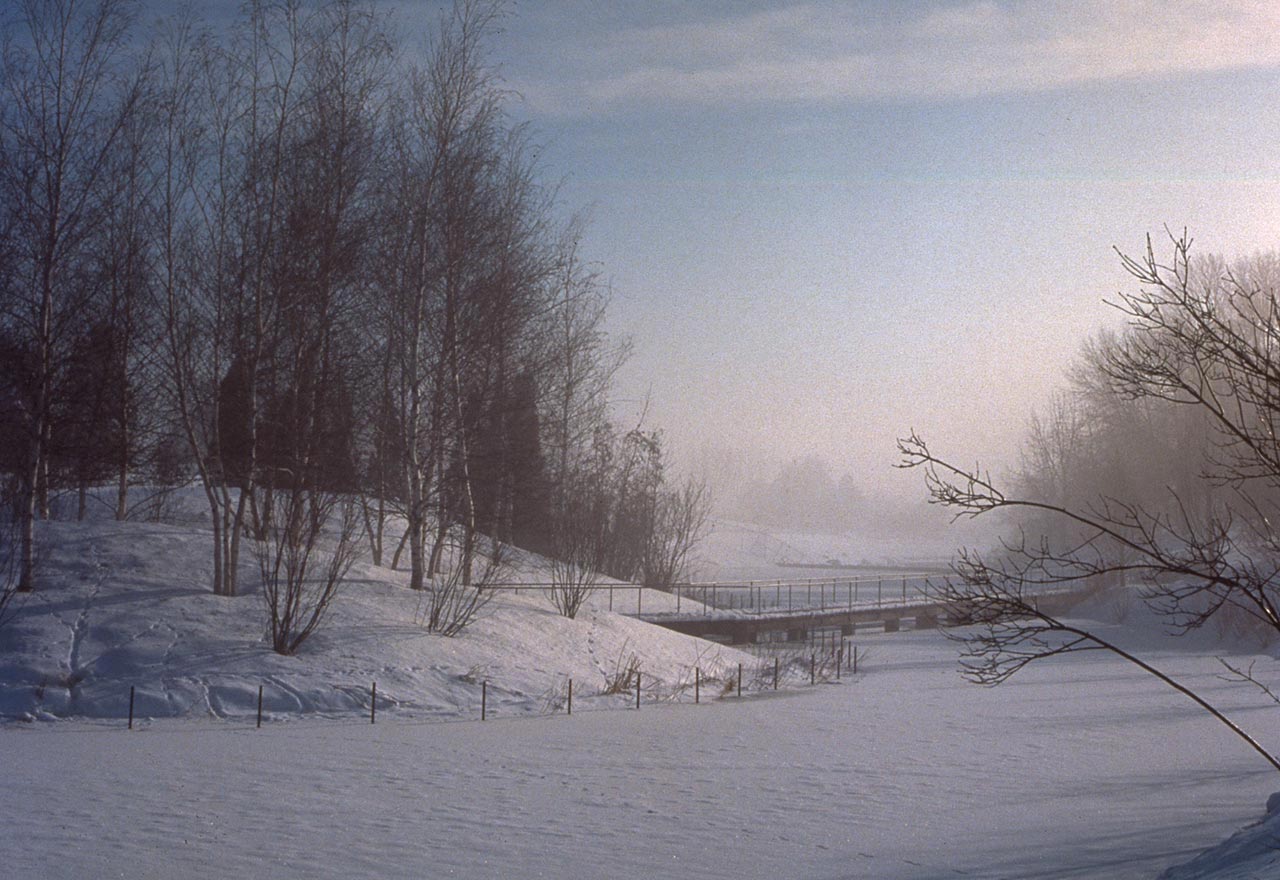 中國風景園林網 規劃設計