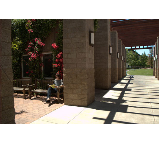 中國風景園林網 規劃設計