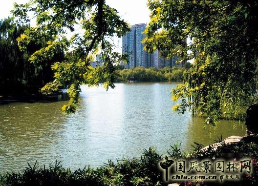 劉秀晨 綠色的云 城市園林 規劃 設計 中國風景園林網