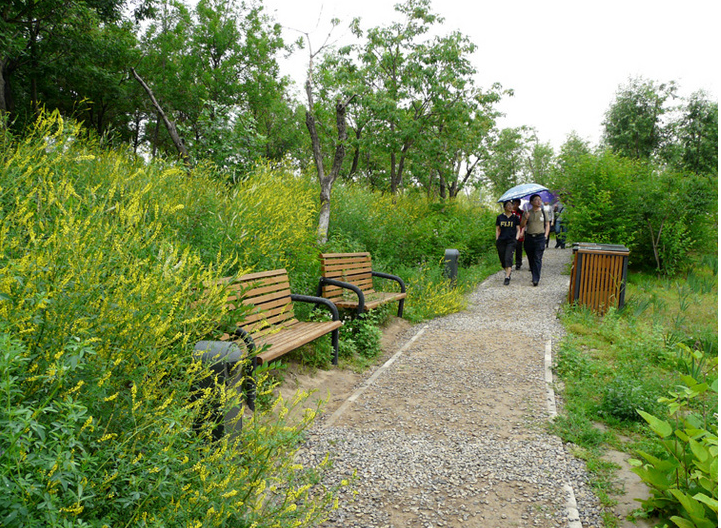 連載 劉秀晨 綠色的云 點(diǎn)評(píng)奧林匹克森林公園 中國(guó)風(fēng)景園林網(wǎng)