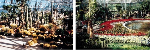 連載 劉秀晨 綠色的云 綠色的夢 北京植物園 中國風景園林網