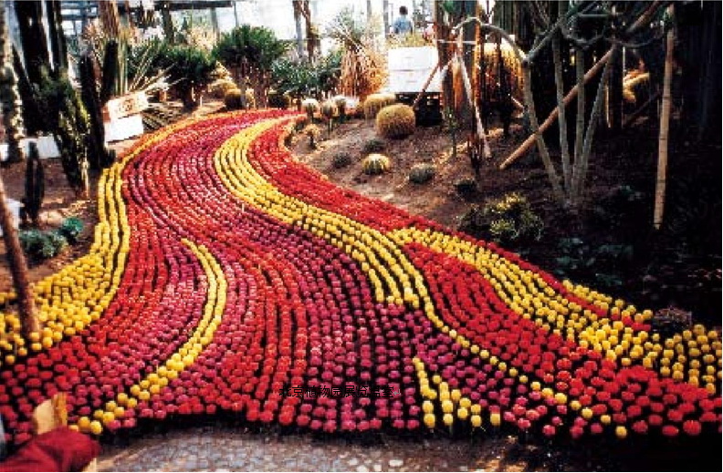 連載 劉秀晨 綠色的云 綠色的夢 北京植物園 中國風景園林網