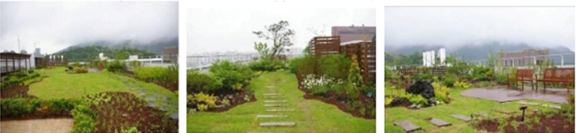 首爾 綠化 屋頂 大會