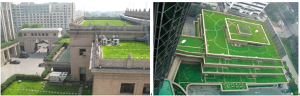 王仙民 體綠化 治理  PM2.5 屋頂綠化大會 中國風景園林網