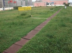 中國風景園林網 國內動態