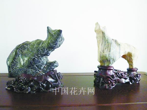 賞石 植物 動物