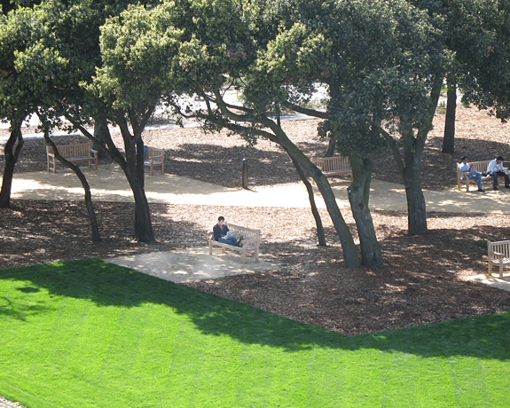 中國風(fēng)景園林網(wǎng) 規(guī)劃設(shè)計