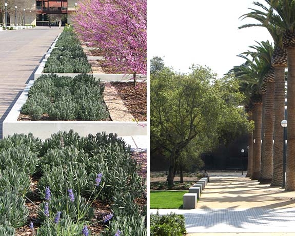 中國風(fēng)景園林網(wǎng) 規(guī)劃設(shè)計