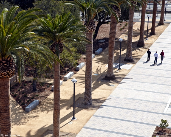 中國風(fēng)景園林網(wǎng) 規(guī)劃設(shè)計