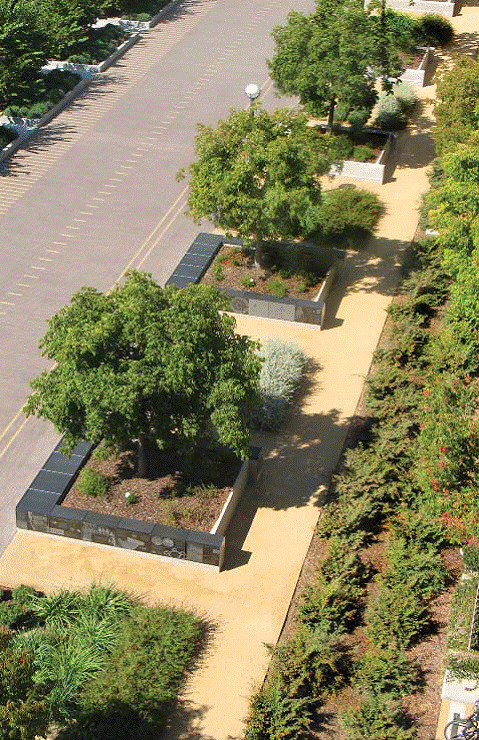 中國風景園林網 規劃設計