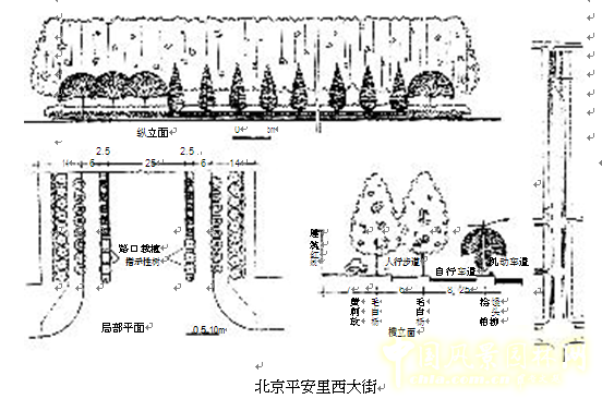 劉秀晨 綠色的云 北京 城市道路 綠化 中國風景園林網