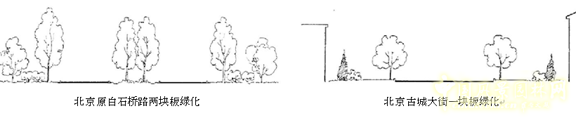 劉秀晨 綠色的云 北京 城市道路 綠化 中國風景園林網
