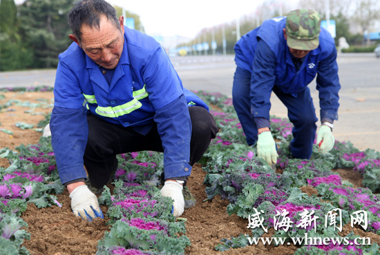 威海 園林 耐寒植物