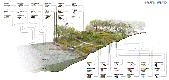 中國風景園林網 規劃設計