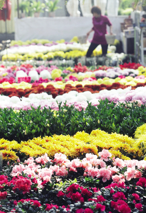 立體化 原生態 天津 園林綠化 中國風景園林網
