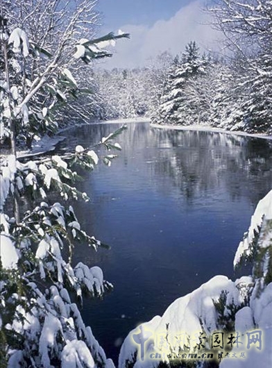 阿卡迪亞國家公園
