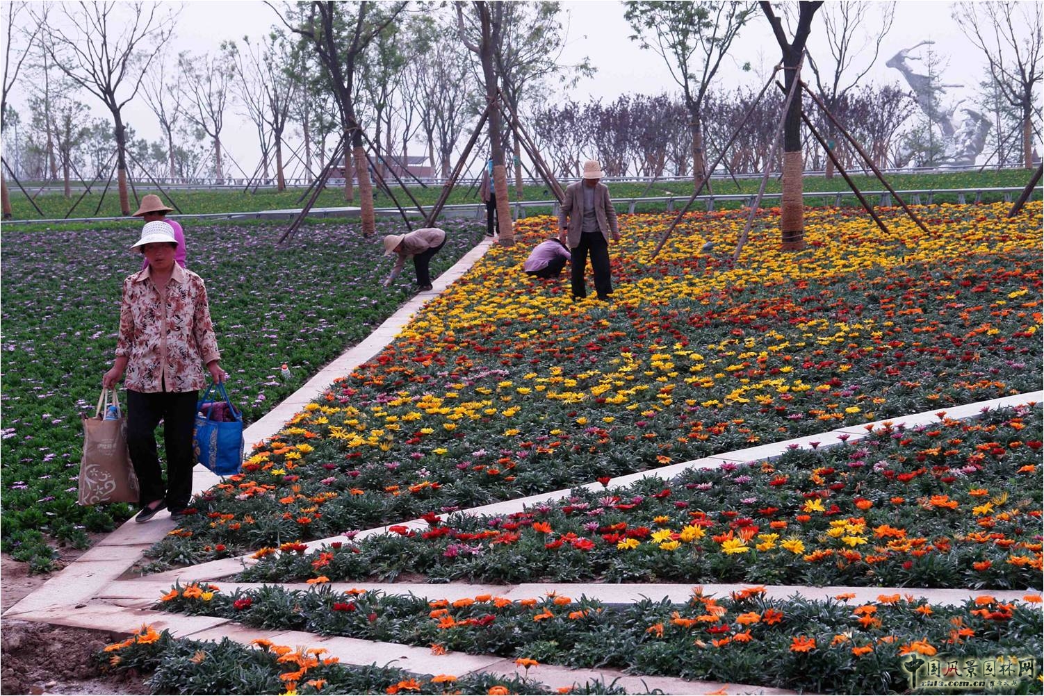 Eva Castro 都市景觀主義 風景園林師論壇 中國風景園林網