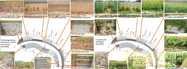 Florian Zimmermann 水敏城市 設(shè)計(jì) 高峰論壇 中國(guó)風(fēng)景園林網(wǎng)