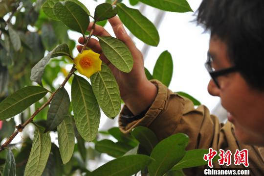 中國風景園林網