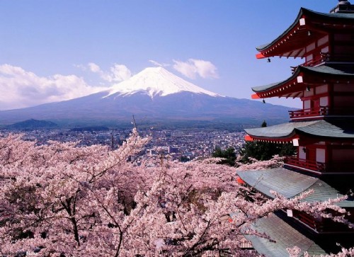 日本櫻花 中國(guó)風(fēng)景園林網(wǎng) 