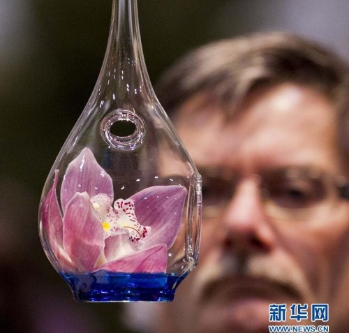 第17屆加拿大花卉與園藝展 插花藝術|綠化 中國風景園林網