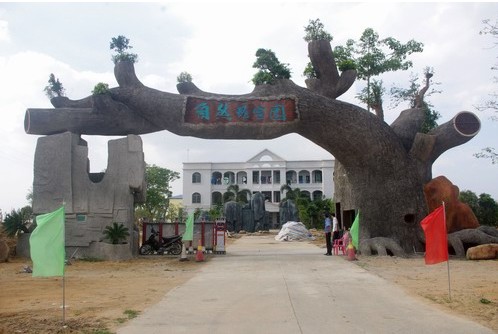 海南 黃花梨 植物