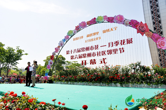 常州 月季 展覽