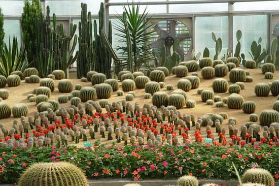 北京 植物園 溫室