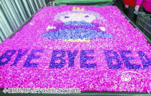 風信子 馬賽克 荷蘭