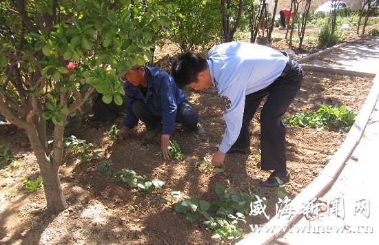 養(yǎng)護(hù)管理