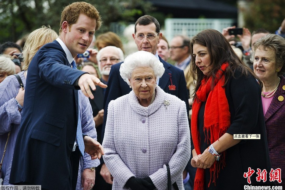 伊麗莎白女王 切爾西花展 觸控花園