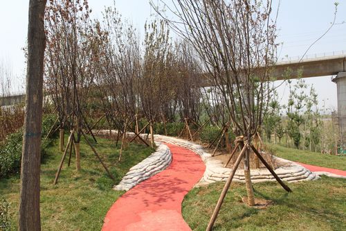 北京園博會 設計師廣場 聲波 設計理念