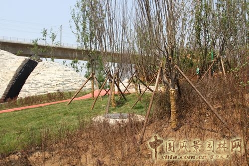 北京園博會 設計師廣場 聲波 設計理念