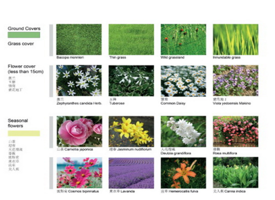 凹陷花園植物配置