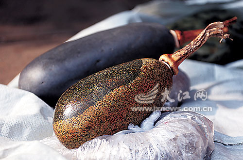 奇石 賞石 瓜果