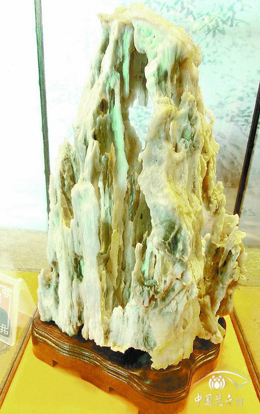 盆景 獲獎作品 揚州