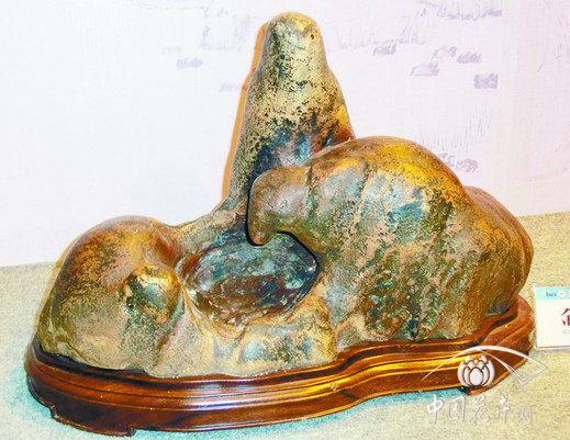 盆景 獲獎作品 揚州