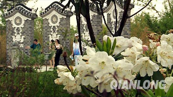 園博會 北京 植物