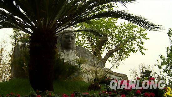 從貴州移植過來的鐵樹。千龍網記者 鄭濤 攝