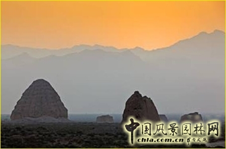 白祖華 風景園林師 源樹景觀