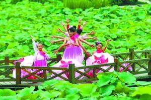 雙橋 花卉 重慶