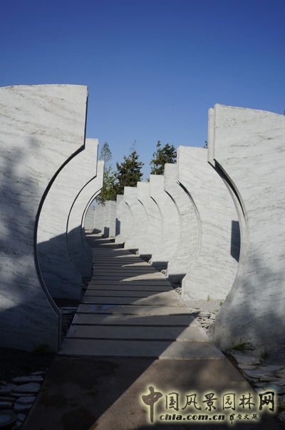 彼得拉茨 彼得拉茨花園 大師園 霧中葉脊