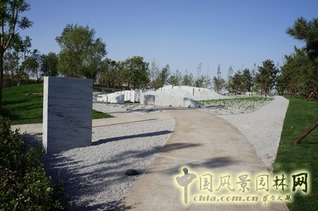 彼得拉茨 彼得拉茨花園 大師園 霧中葉脊