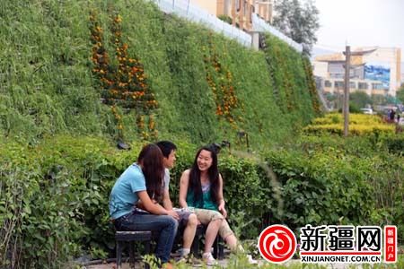 烏魯木齊 綠化 景觀