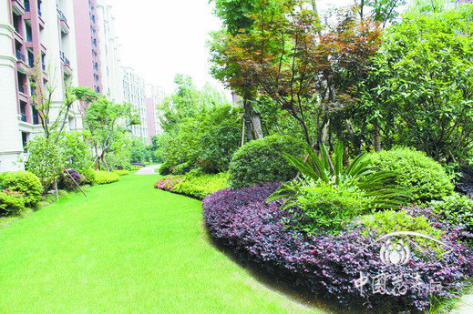 植物組團(tuán)不露腳，層次分明