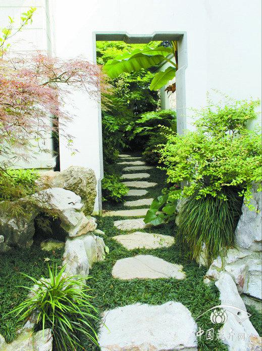 不規則式整石汀步與玉龍草銜接自然