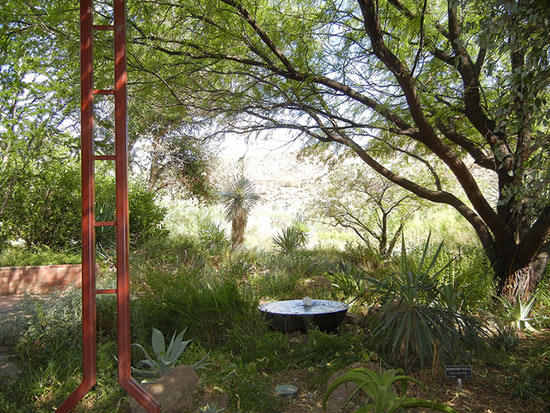 博伊斯·湯普森植物園