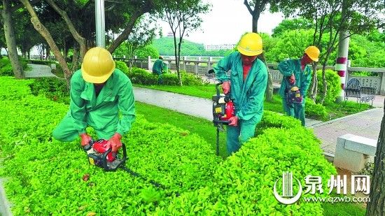 安溪縣市政公用事業(yè)管理局園林修剪組